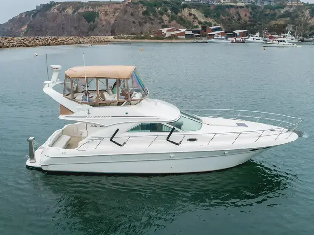 Sea Ray 40