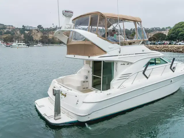 Sea Ray 40