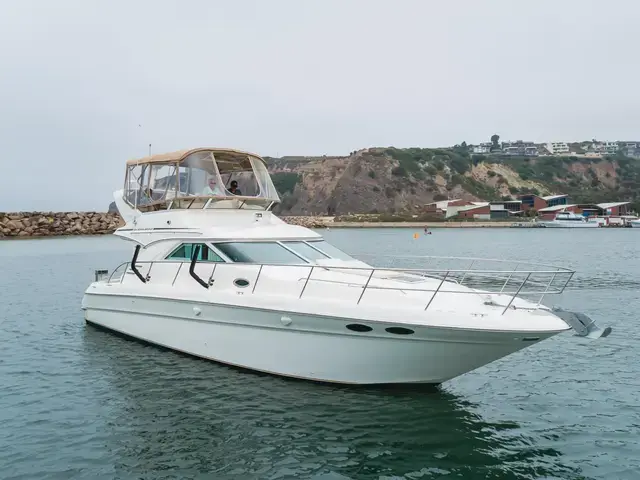 Sea Ray 40