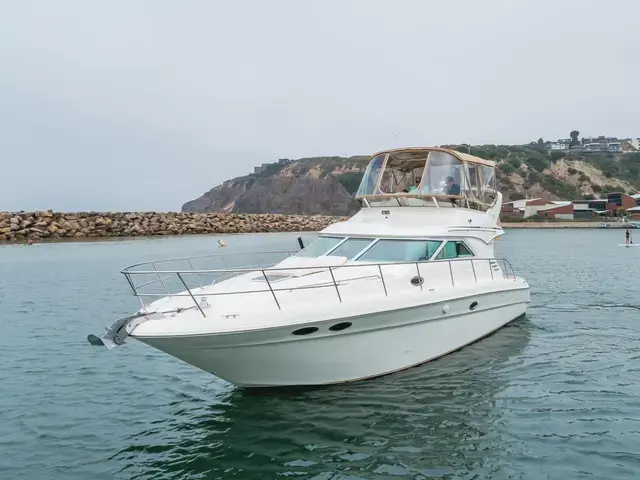 Sea Ray 40