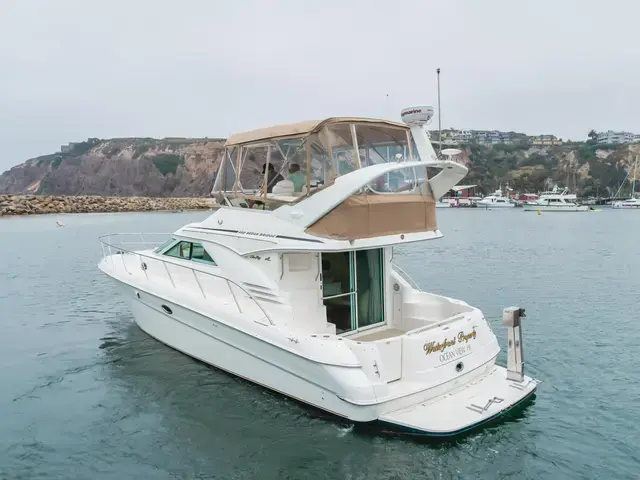 Sea Ray 40