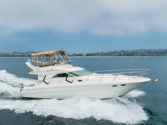 Sea Ray 40