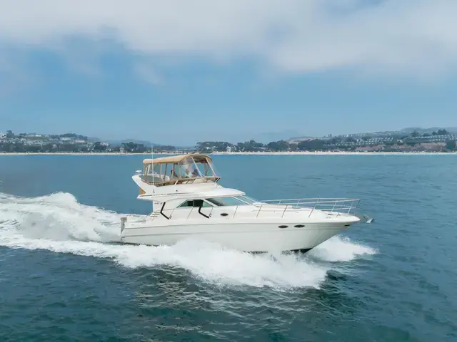 Sea Ray 40