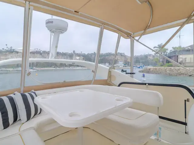 Sea Ray 40