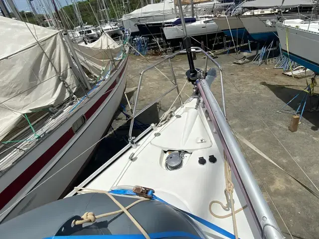 Harmony 42