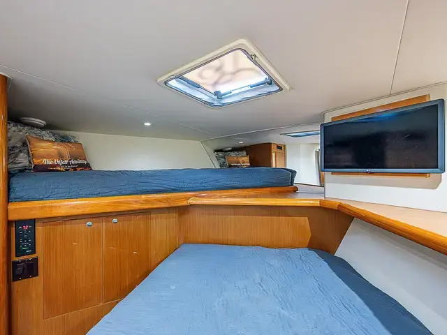 Viking 55'