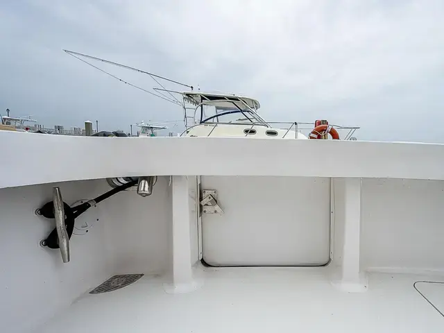 Viking 55'