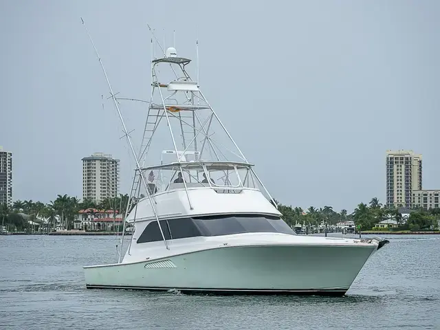 Viking 55'