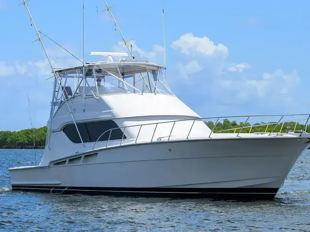 Hatteras Convertible