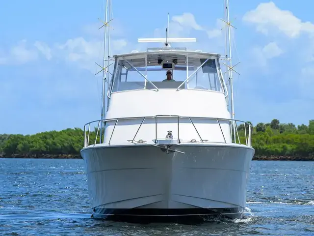 Hatteras Convertible