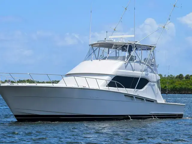 Hatteras Convertible