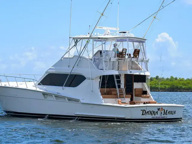 Hatteras Convertible