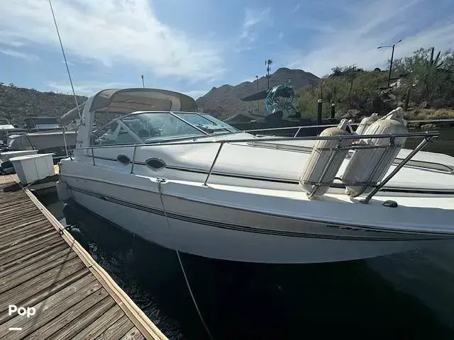 Sea Ray Sundancer 290