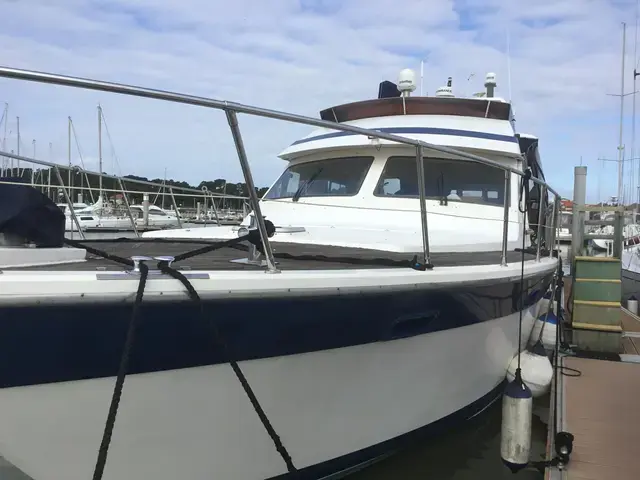 Trader 58 Sunliner