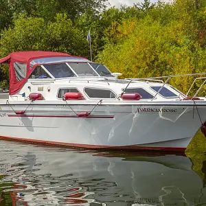 2019 Viking 295