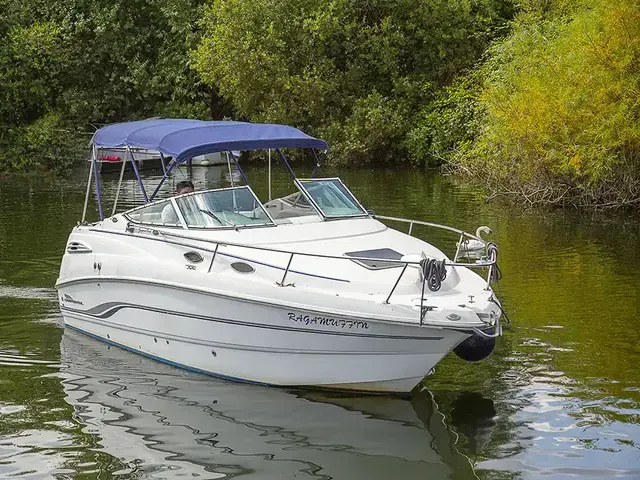 Chaparral 240 Signature