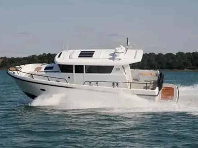 Sargo 33