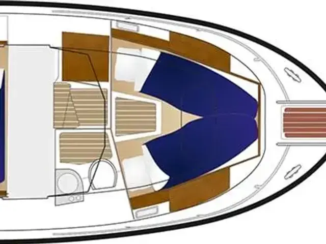 Sargo 31