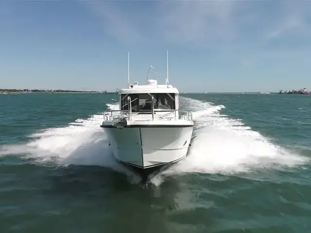 Sargo 31