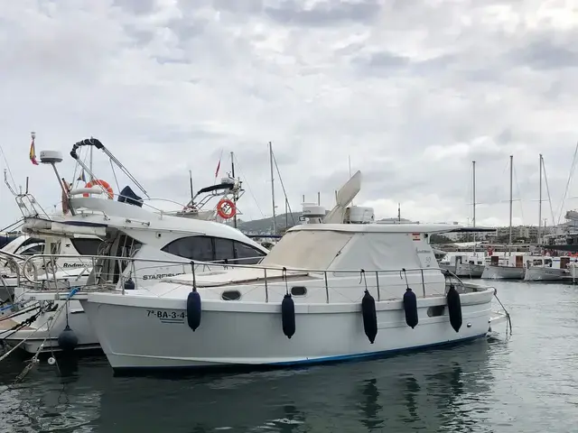 Sciallino 30