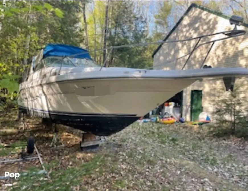 1995 Sea Ray 290 sundancer