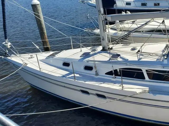 Catalina 387