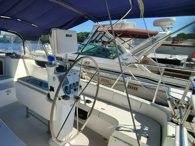 Catalina 387