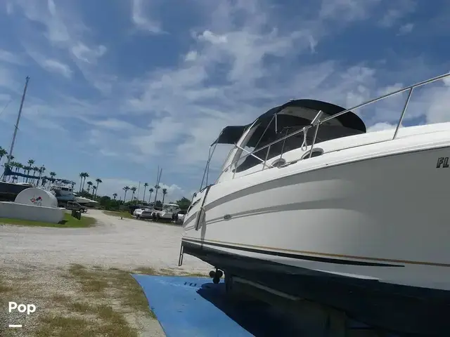 Sea Ray 300 Sundancer