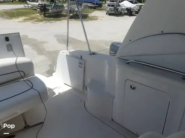 Sea Ray 300 Sundancer