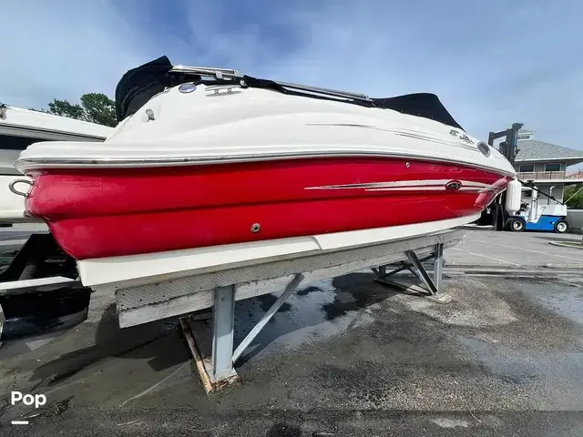 Sea Ray 240 Sundeck