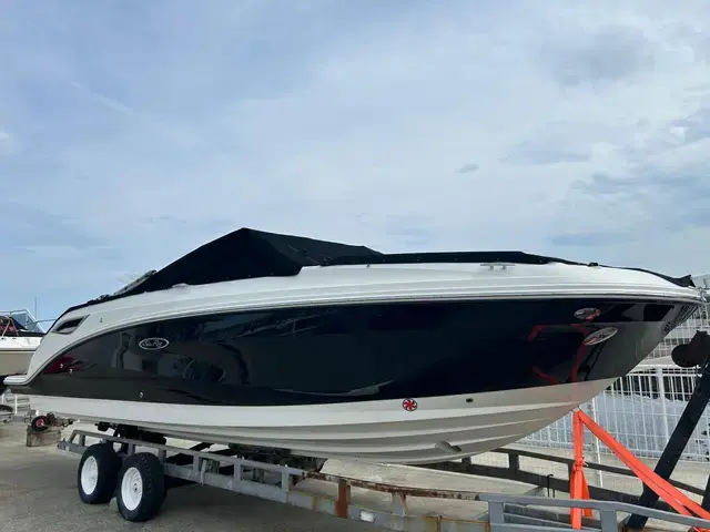 Sea Ray 250 Sdx