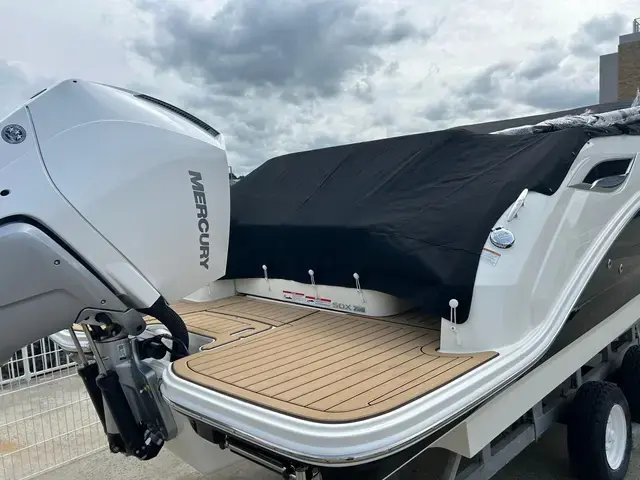 Sea Ray 250 Sdx