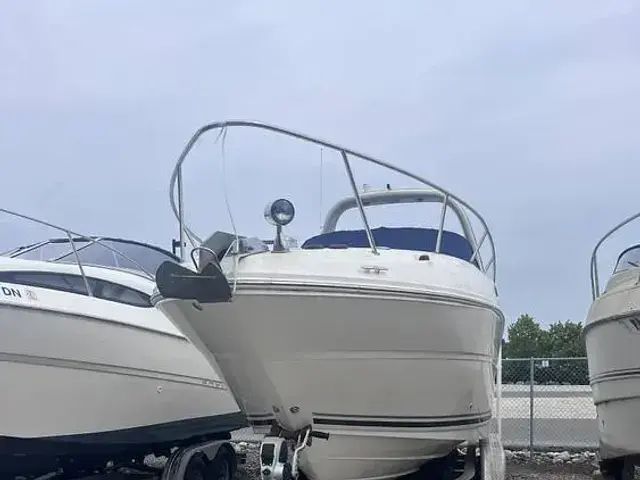 Sea Ray 260 Sundancer