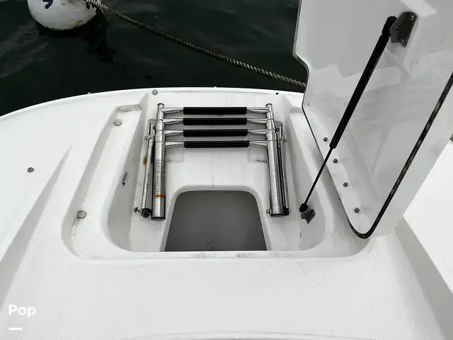 Sea Ray 280 Sun Deck