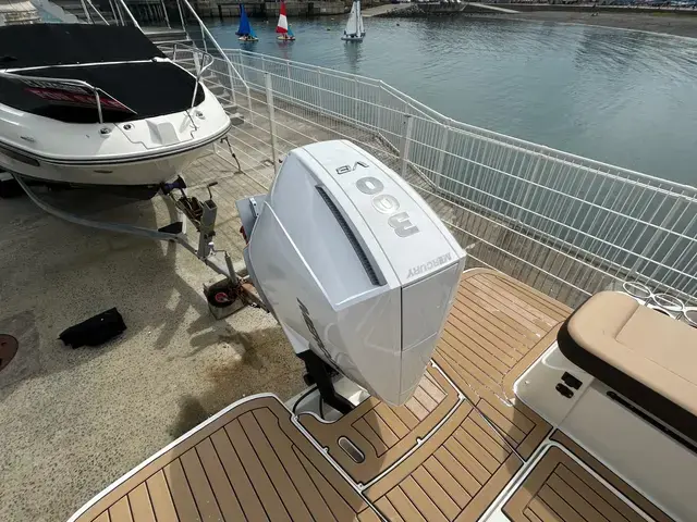 Sea Ray 250 Sdx