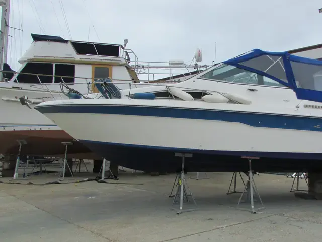 Sea Ray 220 Sundancer