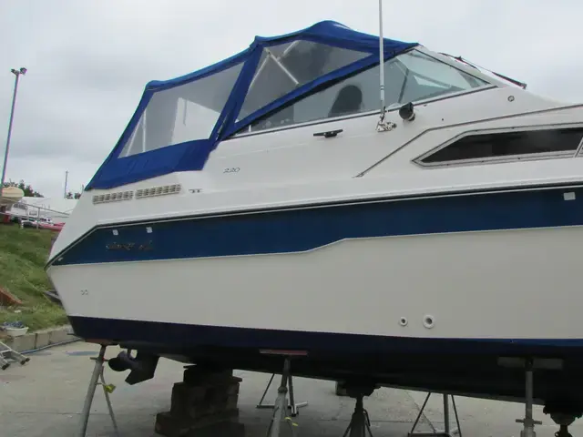 Sea Ray 220 Sundancer