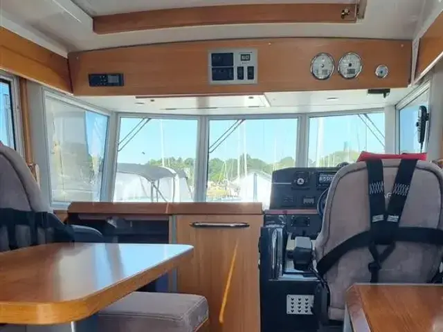 Sargo 33