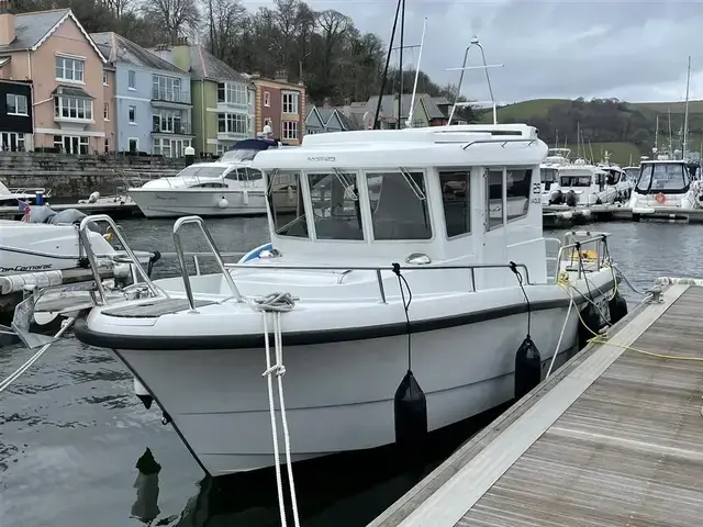 Sargo 25