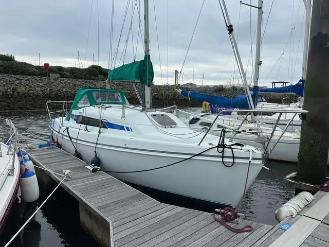 Hunter Ranger 265