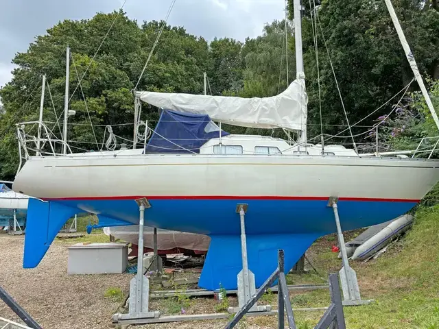 Shipman 28