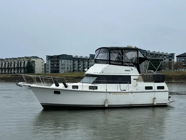 Carver 36 aft cabin