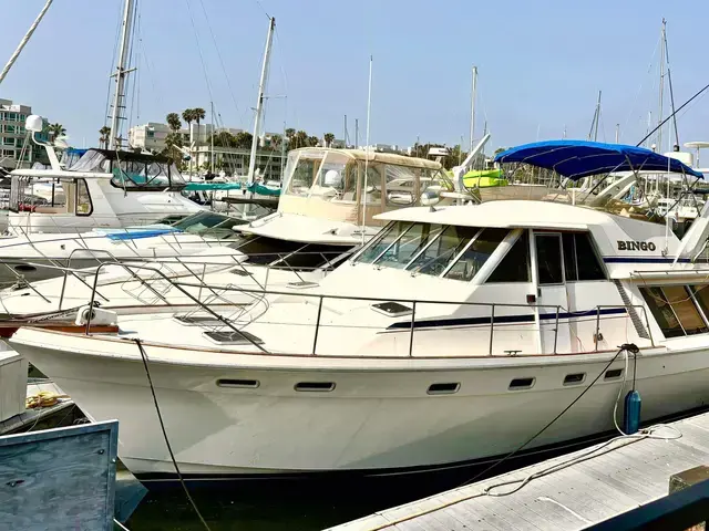 Bayliner 4550 Pilothouse Bingo