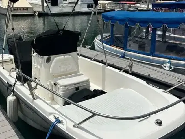 Boston Whaler 170 Dauntless