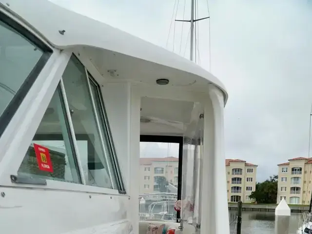 Sea Ray 48