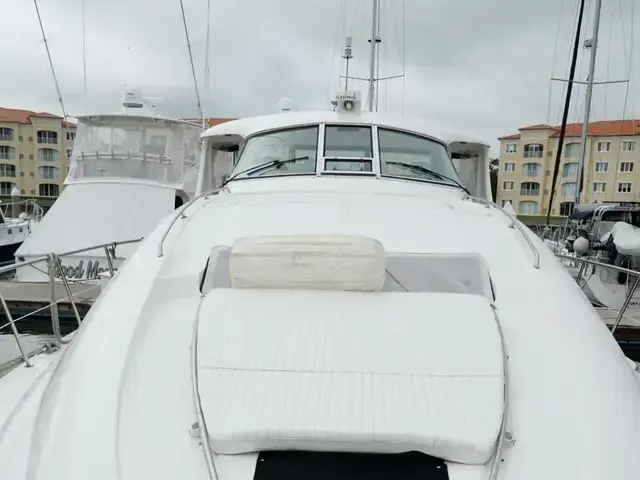 Sea Ray 48