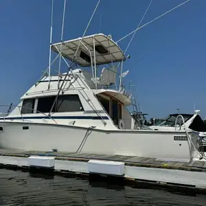 1985 Bertram 38'