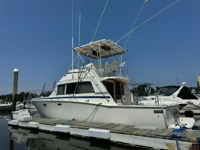 Bertram 38'