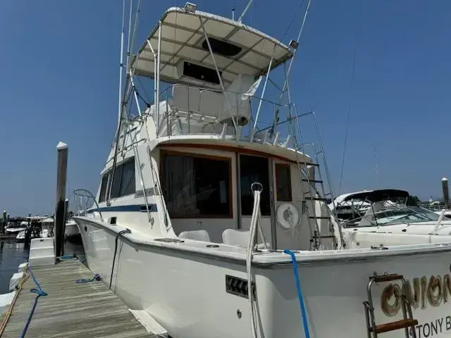 Bertram 38'