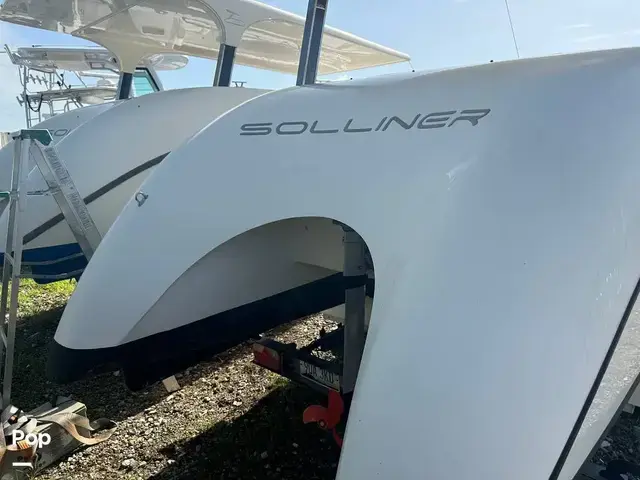 Green Dream Boats Solliner 21